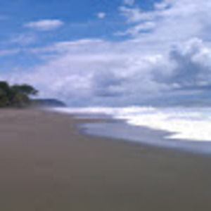 Meet your Posher, Ali